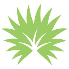 Fototapeta premium Flower made by using leaves denoting icon for whorled leaves 