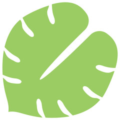 
Small leafs attached together and makes a complete leaf of philodendron split leaf structure 
