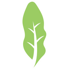 
Big leaf i e longer in height and not very big in width, corners on edges, banana leaf structure 
