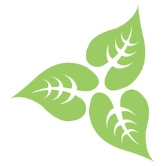 
Oval shaped moringa leaves placed in symmetry making a leaf design 
