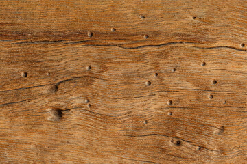 Naklejka premium Brown wood texture natural background