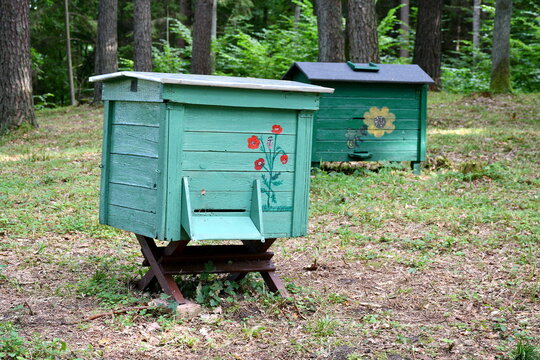 Close up on two bee hives or bird houses made out of planks, logs, and boards painted green and with some flower based pattern on them seen in the middle of a dense forest or moor in autumn