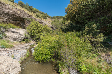 Fototapeta na wymiar Water flowing down a ravine in the Sierra Nevada