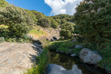 Fototapeta na wymiar water in a ravine in the Sierra Nevada
