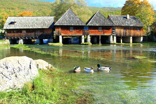 Old wooden water mills on source of Gacka river, Lika region, Croatia