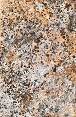 stone wall texture