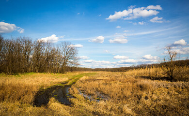pathway across spring meadow in steppe