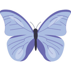 
A winged animal in pretty blue color with antennas on top, butterfly 
