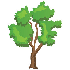 
river birch tree, decorative tree flat icon
