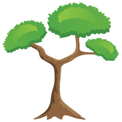 
A simple flat icon design of umbrella pine tree
