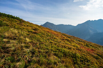 Mountain meadows in the Western Tatras. Rohace peaks in the background. Slovakia.