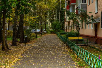 autumn in the city