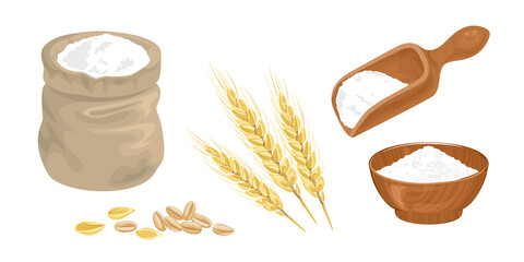 Wheat flour set. Sack, ears, grains, wooden scoop and bowl with white flour isolated. Vector food illustration in cartoon flat style.