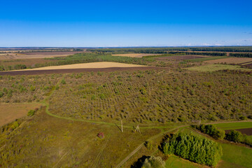 Aerial view of fields, forest and blue sky, beautiful landscape of nature.