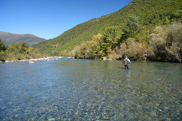 Fototapeta na wymiar fly fisherman fishing on the rio Ara in Spain