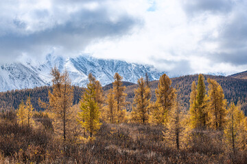 panoramic view of picturesque snowy mountains tops