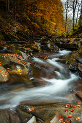 Fall Season in Forest. Stream and Waterfall Flowing Motion. Colorful Leaves in Autumnal Colors