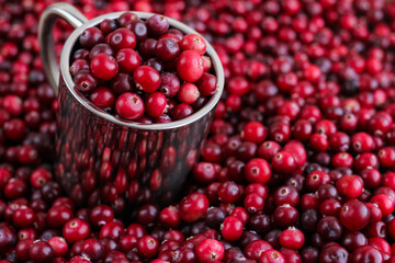 Ripe fresh cranberries with stainless steel mug as natural, food, berries background. Selective focus.