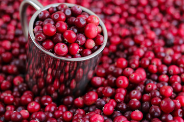 Ripe fresh cranberries with stainless steel mug as natural, food, berries background. Selective focus.