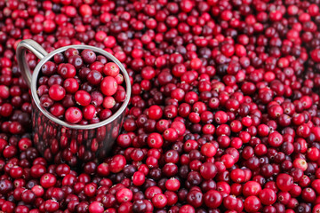Ripe fresh cranberries with stainless steel mug as natural, food, berries background. Selective focus.