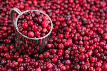 Ripe fresh cranberries with stainless steel mug as natural, food, berries background. Selective focus.