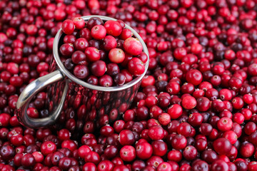 Ripe fresh cranberries with stainless steel mug as natural, food, berries background. Selective focus.