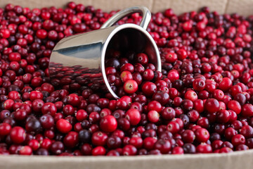 Ripe fresh cranberries with stainless steel mug as natural, food, berries background. Selective focus.