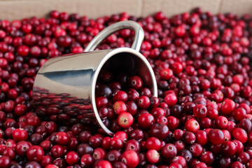 Ripe fresh cranberries with stainless steel mug as natural, food, berries background. Selective focus.