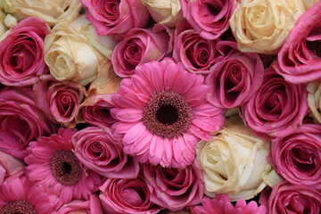 Pink gerbera and rose arrangement