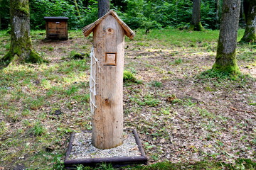 A small wooden insect or bird house made out of logs, planks, and boards seen standing on an old trunk of a chopped down tree in the middle of a public park spotted in autumn during a hike