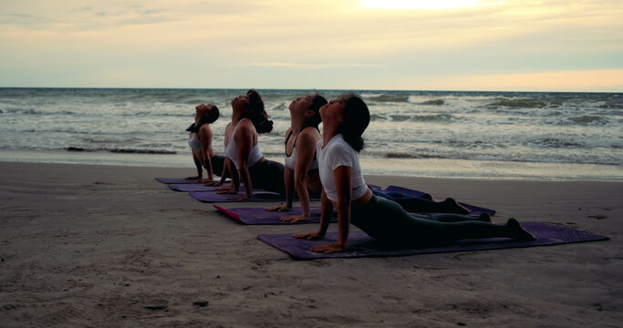 Professional group females yoga practice in class on mat stretching