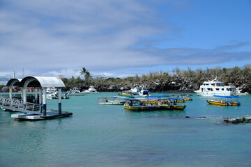 Ecuador Galapagos Islands  - Santa Cruz Island Port area with ferry jetties in Puerto Ayora