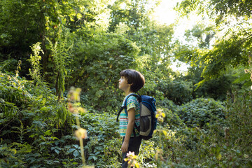 A boy with a backpack walks through the forest