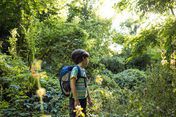 Naklejka na ściany i meble A boy with a backpack walks through the forest