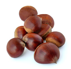 Chestnuts isolated on white background. Horse-chestnut (Aesculus) macro