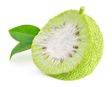 Sliced Osage Oranges (Maclura) Isolated on White Background. Hedge Apple close up.