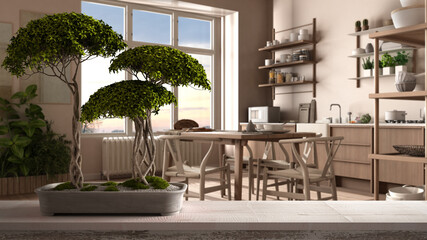 Vintage wooden table shelf with pebble and potted bloom bonsai, green leaves, over rustic country kitchen, modern interior design, dining table, zen clean architecture concept idea