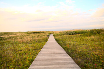 Fototapeta premium 湿原の一本道