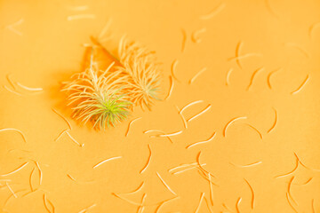 Flat lay of nature pattern colorful autumn leaves on yellow background. Seasonal concept