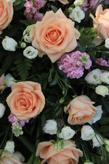 Peach colored roses