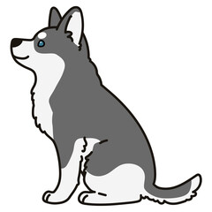 Adorable outlined grey Husky dog sitting in side view illustration