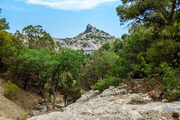 Panorama of nature during hike along so called 'Tzar path' in Novyi Svit, Crimea. Mountain on background is Cape Kapchik
