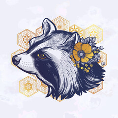 Raccoon portrait. Dreamy magic art. Night, nature, wicca symbol. Isolated vector illustration. Great outdoors, tattoo and t-shirt design.
