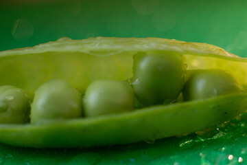 pod pea cracked and pea poured out of it lie on a green background in droplets of dew