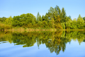 Forest is growing nearby the lake & mirrorly reflecting in waters of lake