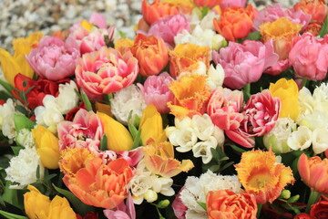 Mixed tulip bouquet