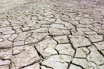 Perspective view onto dried volcanic mud, petrified from time & cracked under the hot sunlight
