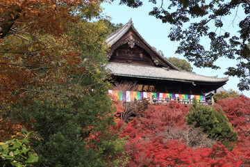 紅葉の長谷寺