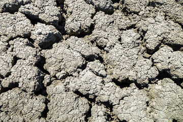 Surface of dried ground & mud, cracked with time under hot sun rays