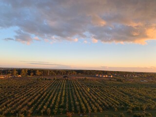 Obraz premium View through window onto rural landscape and sunset. Valley vineyards in autumn colors, sunset sky. Autumn concept. Copy space.